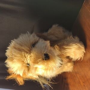 Benji 1978 Stuffy Plush stuffed animal tagged and labeled. Realistic Vin…